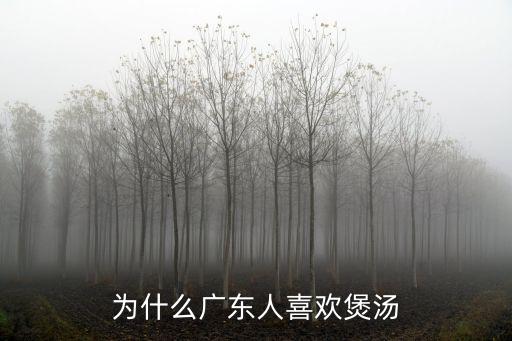 為什么廣東人喜歡煲湯