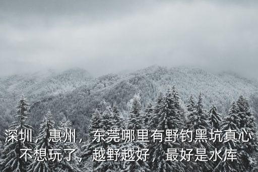 深圳，惠州，東莞哪里有野釣黑坑真心不想玩了，越野越好，最好是水庫