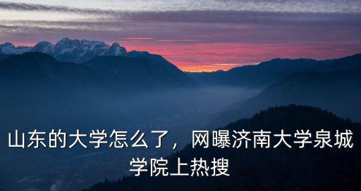 濟南大學泉城學院 多少分錄取,網曝濟南大學泉城學院上熱搜