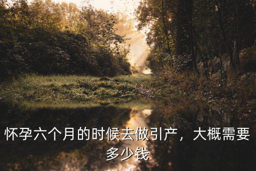 懷孕六個月的時候去做引產(chǎn)，大概需要多少錢