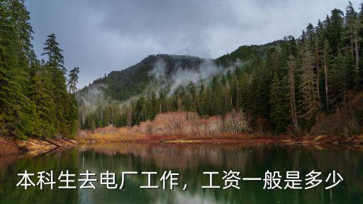淄博高青電廠工資多少,工資一般是多少