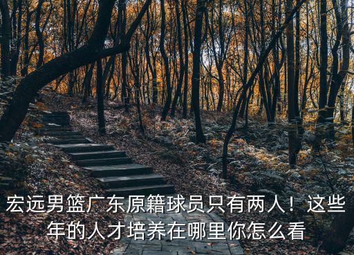 宏遠男籃廣東原籍球員只有兩人！這些年的人才培養(yǎng)在哪里你怎么看