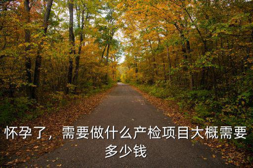 懷孕了，需要做什么產檢項目大概需要多少錢