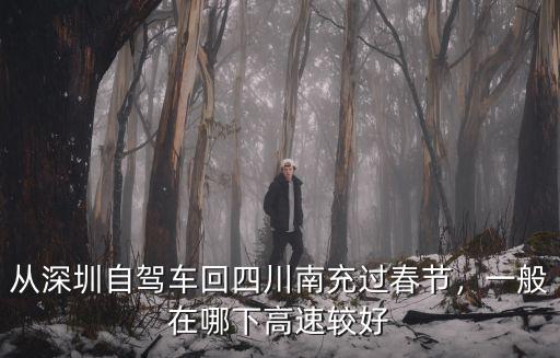 從深圳自駕車回四川南充過春節，一般在哪下高速較好