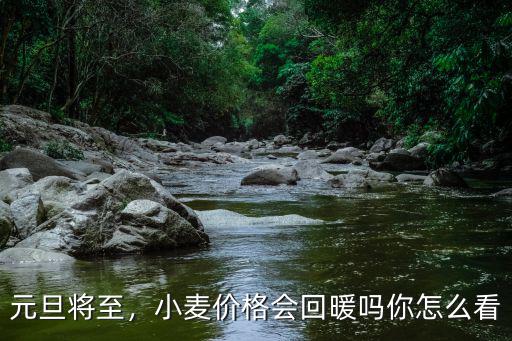 元旦將至，小麥價(jià)格會(huì)回暖嗎你怎么看