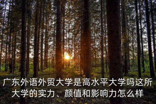廣東外語外貿大學學習環境怎么樣,廣東外語外貿大學怎么樣