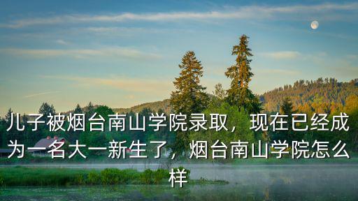 煙臺南山學(xué)院學(xué)費一年多少,兒子被煙臺南山學(xué)院錄取