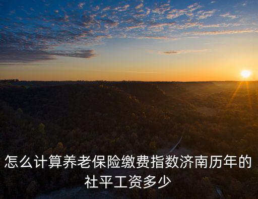 怎么計算養老保險繳費指數濟南歷年的社平工資多少
