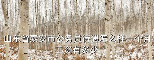 山東公務(wù)員退休工資多少錢一個(gè)月,山東聊城市公務(wù)員待遇怎么樣