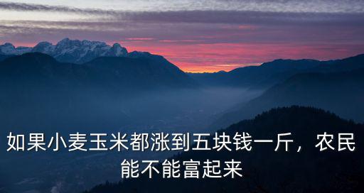 如果小麥玉米都漲到五塊錢一斤，農民能不能富起來
