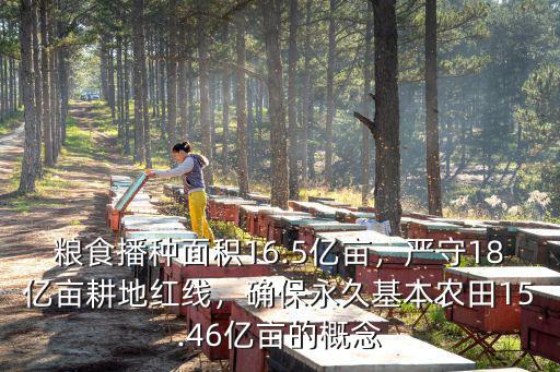 糧食播種面積16.5億畝，嚴守18億畝耕地紅線，確保永久基本農田15.46億畝的概念