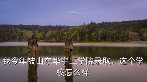 山東華宇工學(xué)院學(xué)校代碼是多少,我今年被山東華宇工學(xué)院錄取