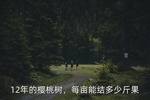 12年的櫻桃樹，每畝能結(jié)多少斤果