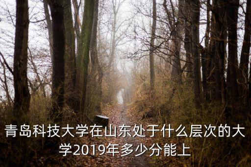 青島科技大學2019年法學專業多少分錄取,青島科技大學和山東科技大學
