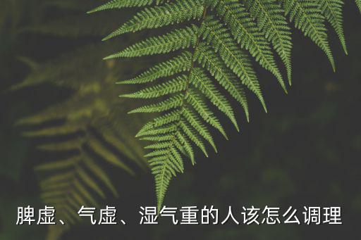 脾虛、氣虛、濕氣重的人該怎么調理