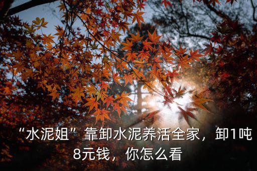 濟(jì)南卸水泥多少錢一噸,水泥姐靠卸水泥養(yǎng)活全家