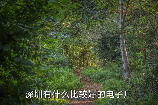 深圳龍河電子廠怎么樣,在深圳電子廠打暑假工怎么樣