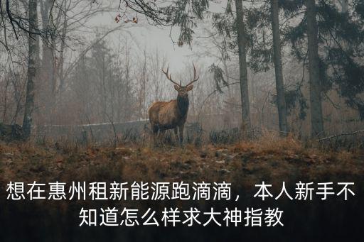 想在惠州租新能源跑滴滴，本人新手不知道怎么樣求大神指教