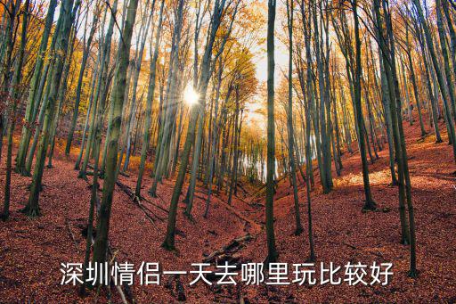 深圳廚房約會去哪里好,深圳情侶一天去哪里玩比較好