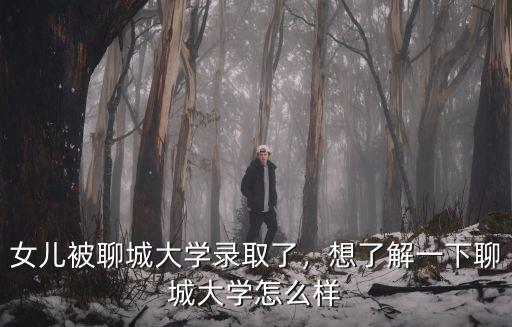 聊城大學心理學多少分,女兒被聊城大學錄取了