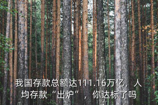 我國存款總額達111.16萬億，人均存款“出爐”，你達標了嗎