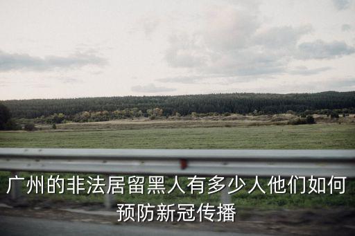 廣東有多少黑人有綠卡,有一些去非洲定居的中國人