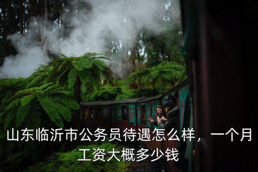 臨沂工資底薪多少,一個月工資大概多少錢
