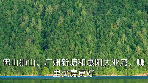佛山獅山、廣州新塘和惠陽大亞灣，哪里買房更好