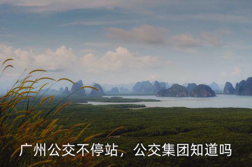 廣州公交車不停怎么投訴,公交車到站不停