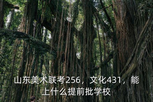 山東工藝美術學院聯考多少能上,能上什么提前批學校