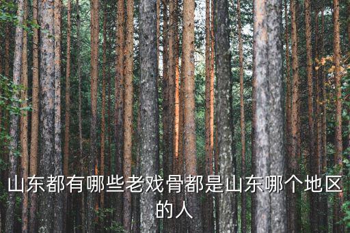 山東都有哪些老戲骨都是山東哪個地區的人