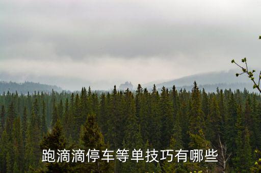廣州跑滴滴市區哪里可以停車,廣州市跑滴滴