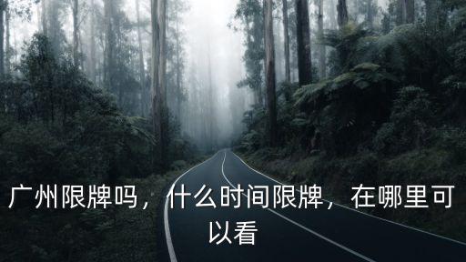 廣州限牌時間在哪里看,在哪里可以看