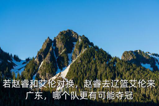 廣東男籃趙睿去哪里,趙睿去遼籃艾倫來廣東