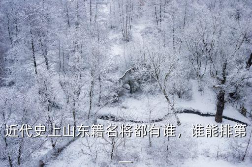 近代史上山東籍名將都有誰，誰能排第一