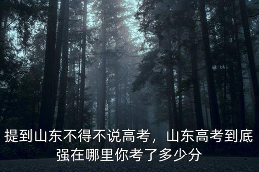 山東高考王瑞朋考了多少分,你考了多少分