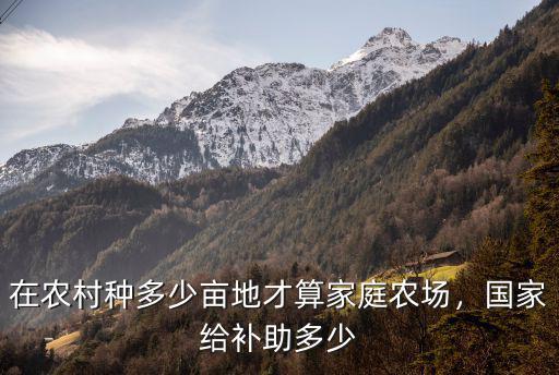 在農村種多少畝地才算家庭農場，國家給補助多少