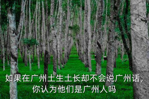 你覺得廣州人怎么樣英文,你認為他們是廣州人嗎