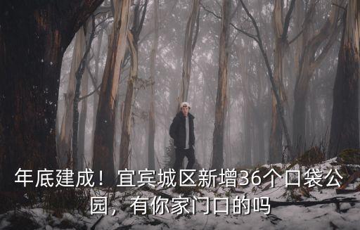 年底建成！宜賓城區新增36個口袋公園，有你家門口的嗎