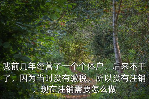 我前幾年經營了一個個體戶，后來不干了，因為當時沒有繳稅，所以沒有注銷，現在注銷需要怎么做