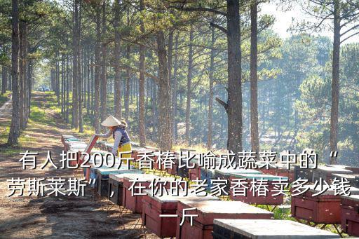 有人把200斤香椿比喻成蔬菜中的“勞斯萊斯”，在你的老家香椿賣多少錢一斤