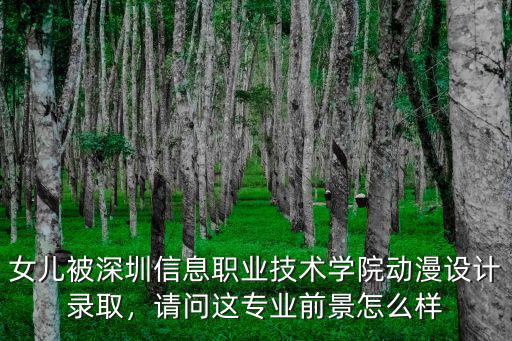 深圳市動漫學院怎么樣,深圳職業技術學院怎么樣