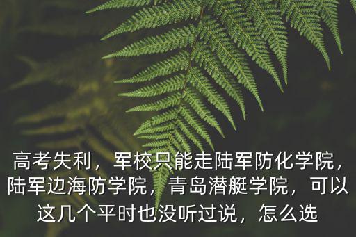 高考失利，軍校只能走陸軍防化學院，陸軍邊海防學院，青島潛艇學院，可以這幾個平時也沒聽過說，怎么選