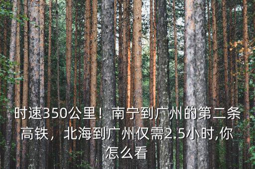時(shí)速350公里！南寧到廣州的第二條高鐵，北海到廣州僅需2.5小時(shí),你怎么看