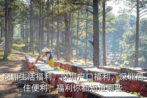 深圳英威騰福利怎么樣,深圳戶口福利