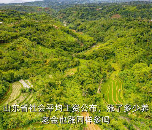 山東省2020年全口徑平均工資是多少,山東省平均養老金有多少錢