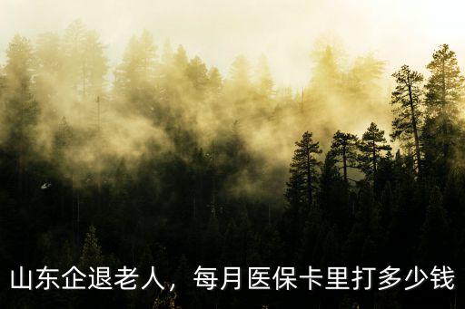 山東阿姨每月多少錢,每月醫保卡里打多少錢