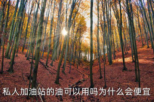 山東的柴油多少錢(qián)一升私人加油站,私人加油站的油可以用嗎