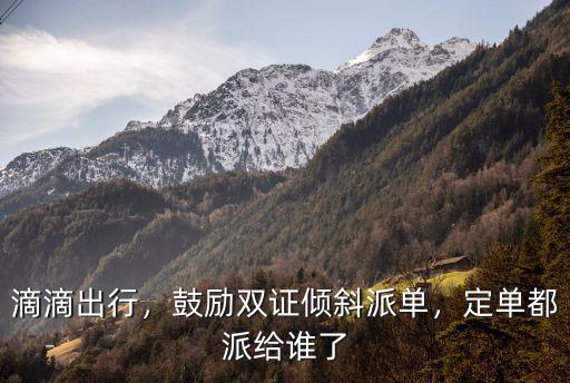 中山市滴滴雙證合規車有多少,鼓勵雙證傾斜派單