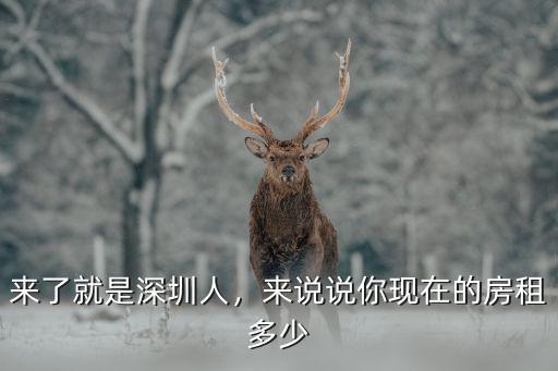 來(lái)了就是深圳人，來(lái)說(shuō)說(shuō)你現(xiàn)在的房租多少